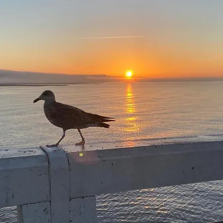 Sunnyside-of-thesea - With Open View On Nature, Big Terraces Around - Very Close To Sea, Beach, Stores, Restaurants & Bars Lägenhet Nieuwpoort