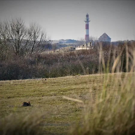 Sunnyside-of-thesea - With Open View On Nature, Big Terraces Around - Very Close To Sea, Beach, Stores, Restaurants & Bars * Nieuwpoort