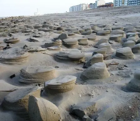 Sunnyside-of-thesea - With Open View On Nature, Big Terraces Around - Very Close To Sea, Beach, Stores, Restaurants & Bars