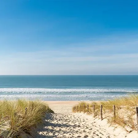 Lägenhet Sunnyside-of-thesea - With Open View On Nature, Big Terraces Around - Very Close To Sea, Beach, Stores, Restaurants & Bars